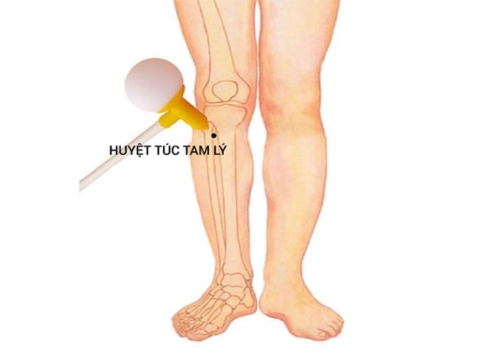 Vị trí huyệt Túc Tam Lý