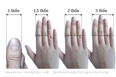 Minh họa cách đo Thốn bằng ngón tay